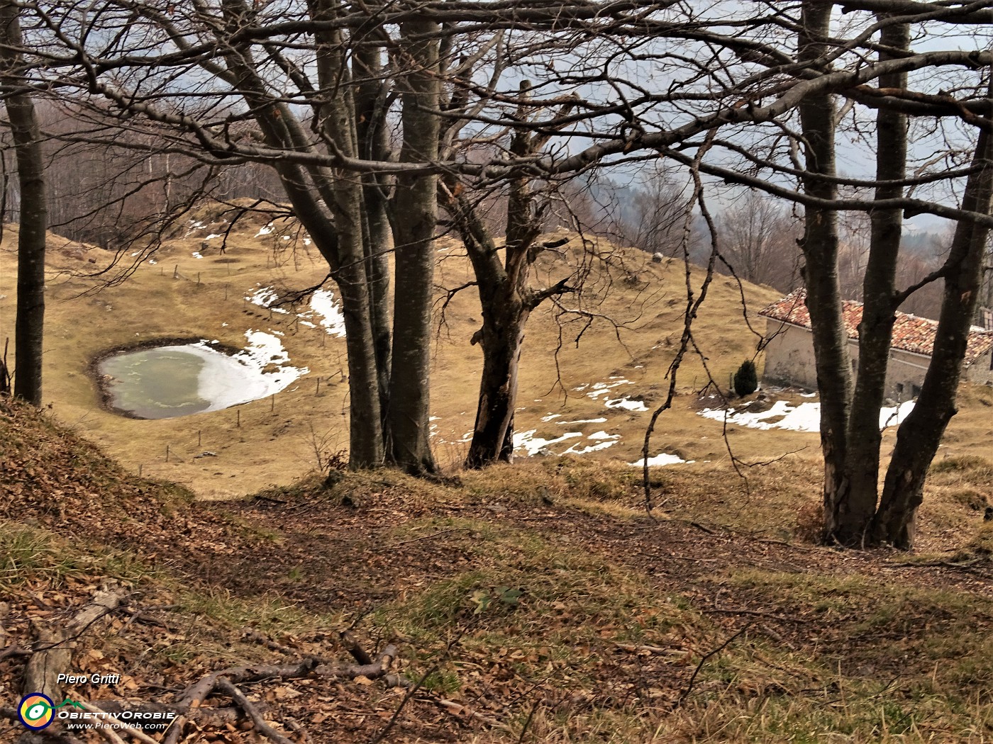 44 Vista sui pascoli della Baita Alta del Sornadello (1407 m).JPG